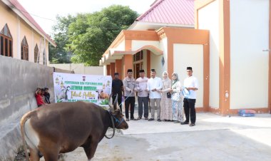 Polres-Manggarai-Timur-Tebar-Kepedulian-Melalui-Kegiatan-Qurban-Idul-Adha